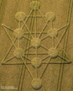 nuovo albero della vita